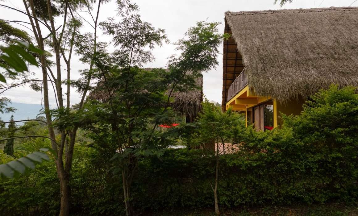 Chalet de Paja rodeado de naturaleza.