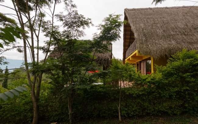Chalet de Paja rodeado de naturaleza.