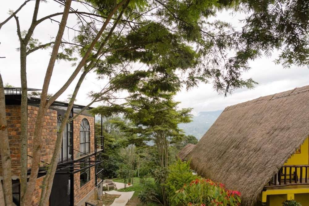 El Estudio, Loft Industrial y el Chalet de Paja rodeado de árboles. Luciana Cabañas Boutique.