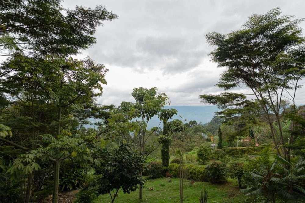 Naturaleza en estado puro en Luciana Cabañas Boutique. Guateque, Boyacá.