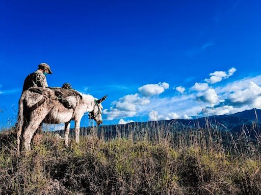 Hombre con su burro en el Valle de Tenza
